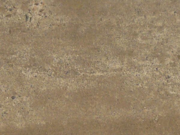 Seamless texture of wet dirt road with vegetation and dry leaves at edges.